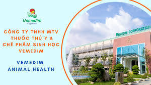 VEMEDIM